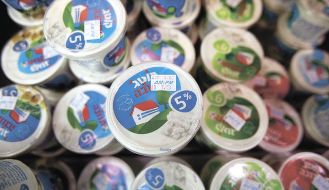 China's Bright Food to buy control of Israel's Tnuva to boost dairy sales