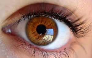 Ditch the reading glasses? Startup focuses on biomimetic lenses that correct …