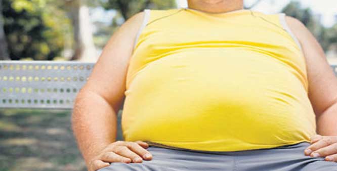 Female hormones may be fuelling male obesity