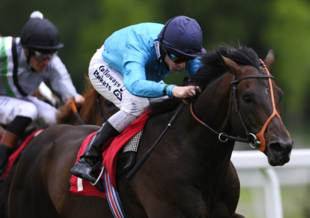 Brown Panther can win the Ascot Gold Cup for Michael Owen