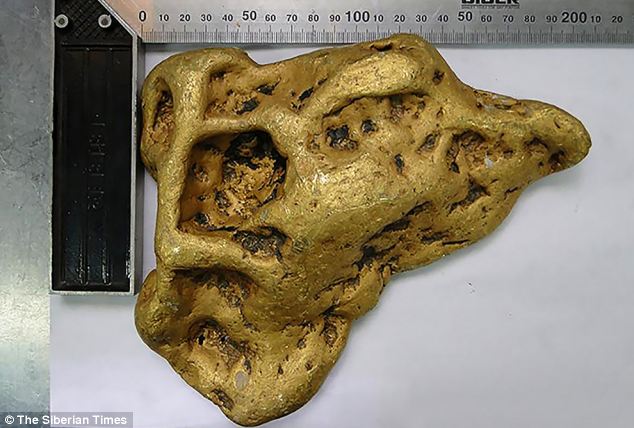 Huge gold nugget found in Siberia is dubbed 'Devil's Ear' after being found …