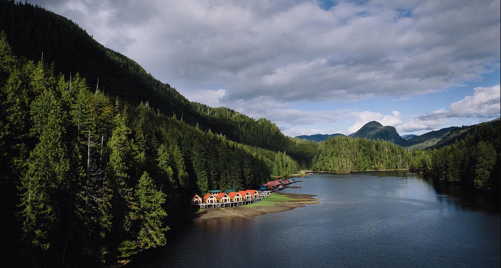 Adventure in The Great Bear Rainforest