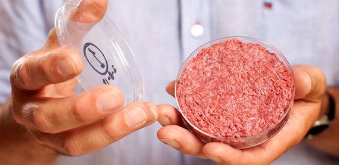 Brave New Food: New Tech's Attempt to Feed the World