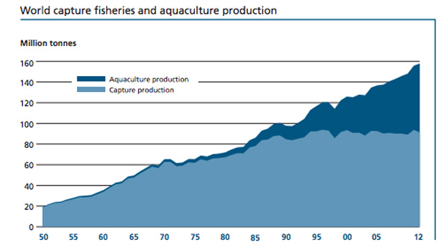 We're Fishing the Oceans Dry. It's Time to Reconsider Fish Farms.