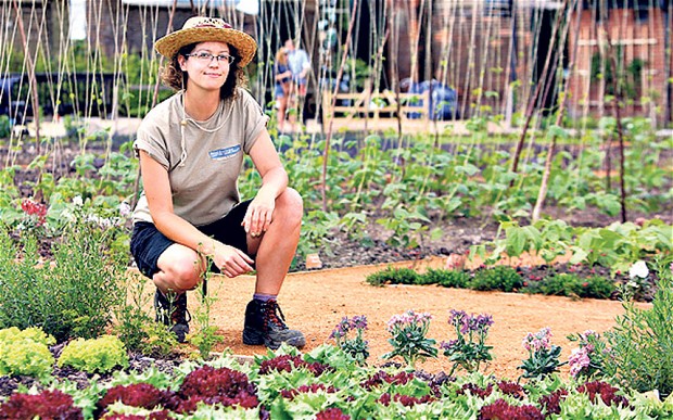 Royal kitchen gardens bloom once more