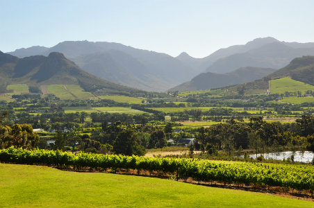 Wine Lover's Guide to South Africa