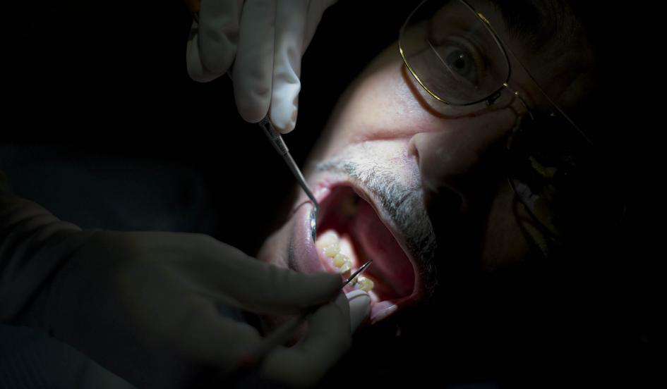 Stem Cell Teeth Grow at a Science Soiree