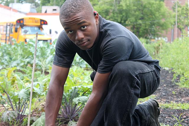 Project Sweetie Pie teaches north Minneapolis youth about gardening