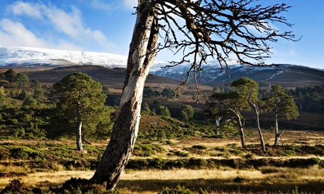 Need splendid isolation? Scottish wilderness walking might get you there