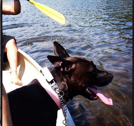 BWW Blog: Jesse Swimm of Goodspeed's FIDDLER ON THE ROOF – Kayaks …