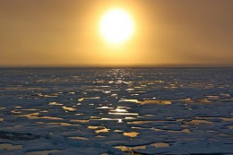 Melting Arctic to pave the way for luxury cruises