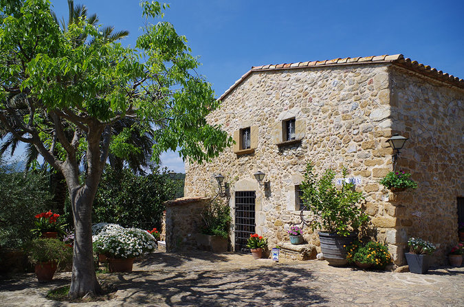 In Spain, a Villa Where Wine and Olive Oil Flow