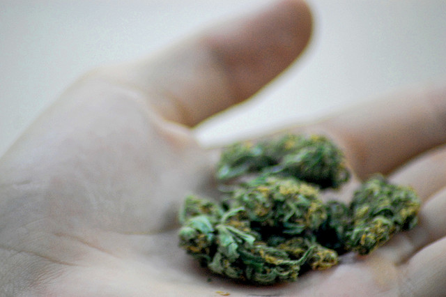 Toronto Has Two New Medical Marijuana Clinics