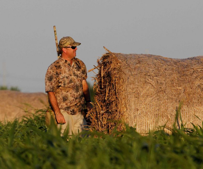 Dove hunting gets research treatment