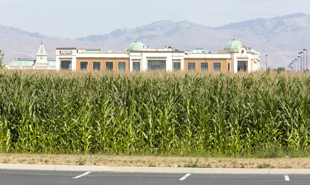 Owner seeks 'quality development' for cornfield at Eagle and Fairview