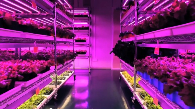 From clean rooms to grow rooms: High-tech companies cultivate indoor farms