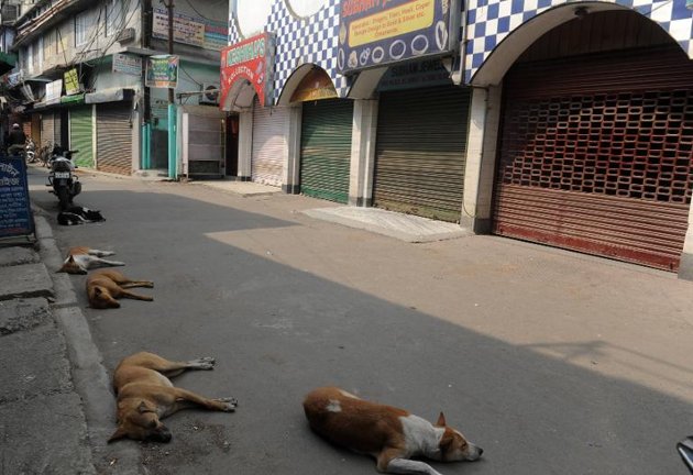 India stray dogs to form security squad