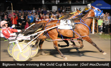 Fiddler's Facts: A look at tonight's Gold Cup and Saucer race