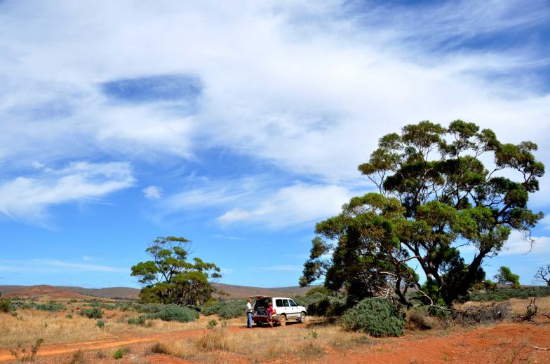 Australia's unknown Eyre Peninsula full of attractions