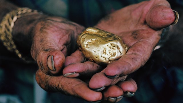 Hoping to strike gold in the California wilderness