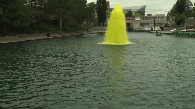 Downtown canal turns gold