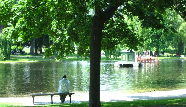 Overall, America's Urban Parks Get High Marks