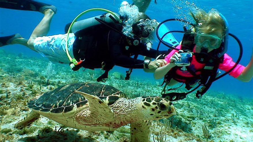 13 family-friendly dive sites for your kids