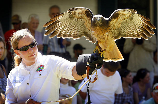 Fairhope to host festival-filled weekend of books, art, music and birds