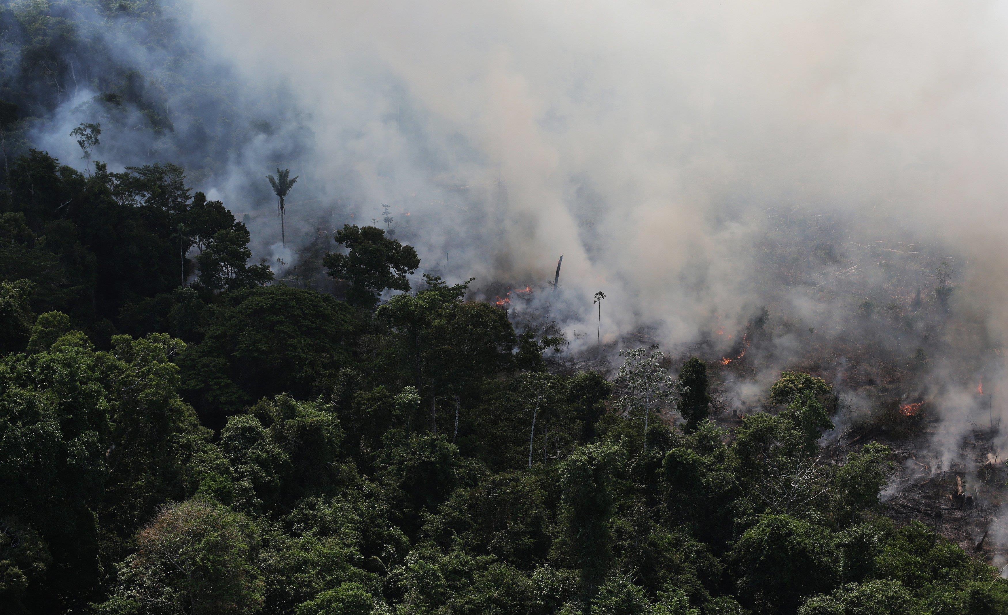 Brazil Says No To UN Global Forest Plan