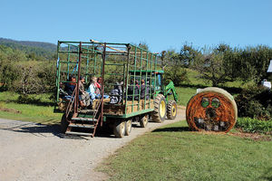 45th annual Graves' Mountain Lodge Apple Harvest Festival