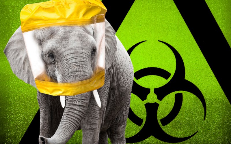 How to Politicize Ebola: Blame It on Obamaor the GOP