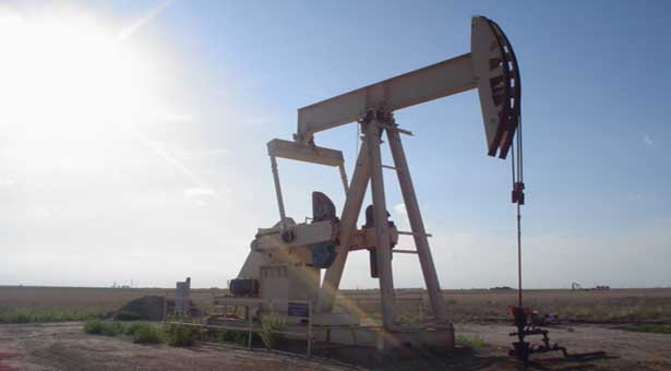 Falling oil prices signal slow global economy