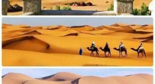 Plan Sun Trails Tours – Luxury & Cultural Travel Morocco