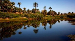 Best Morocco Private Tours, Vacations & Travel from Sun Trails