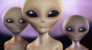 Aliens Can Get Found on Earth – Latest Stories by Sparkinlist