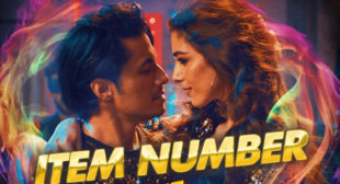 Item Number Lyrics – Teefa In Trouble