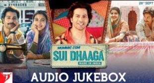 Tu Hi Aham Lyrics – Sui Dhaaga | Ronkini Gupta