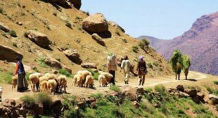 Find Best Tour Operator to Enjoy Morocco Tours at Sun-trails