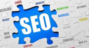 Importance of A SEO Expert in Managing SEO Services