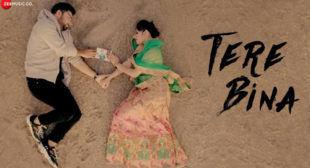 Bismil – Tere Bina Lyrics