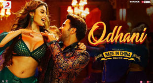 Odhani Lyrics – Made In China