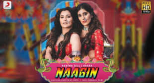 Naagin Lyrics