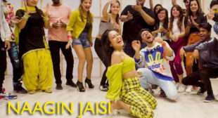 Naagin Jaisi Song Lyrics