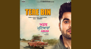 Tere Bin Lyrics