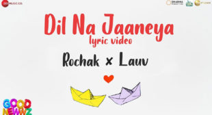 Dil Na Jaaneya Lyrics by Rochak Kohli