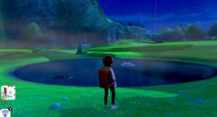 Pokemon Sword and Shield: How to Find and Usage Apriballs – Virtual Directory