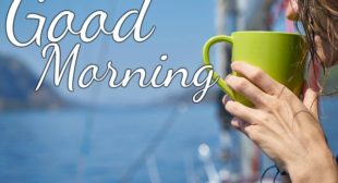 201+ Good Morning Images[à¤à¥à¤¡ à¤®à¥à¤°à¥à¤¨à¤¿à¤à¤ à¤à¤®à¥à¤] With Flowers And Nature – Speakloud