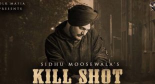 Kill Shot Lyrics