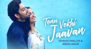 Tenu Vekhi Javaan Lyrics by Shahid Mallya