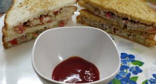 5 min Healthy Dahi Sandwich Recipe